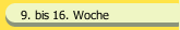 9. bis 16. Woche 
